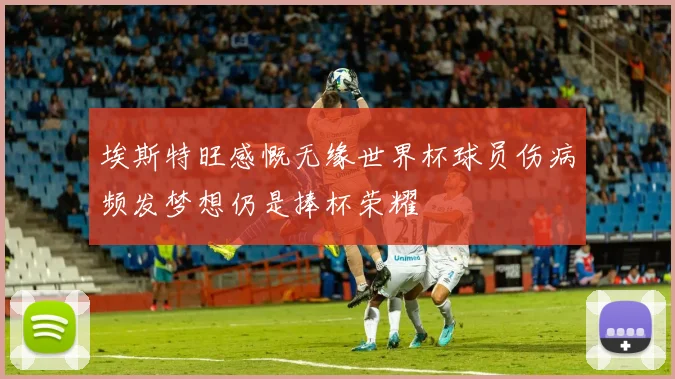 埃斯特旺感慨无缘世界杯球员伤病频发梦想仍是捧杯荣耀